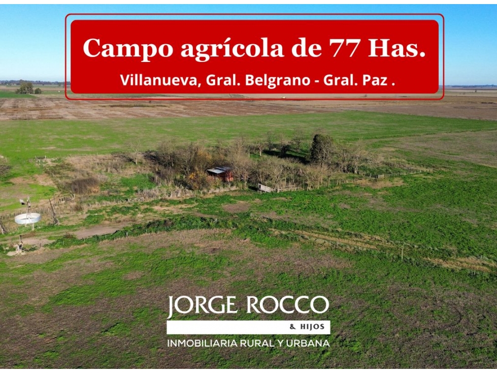 Campo agrícola de 77 Has. en Villanueva, Gral. Belgrano - Gral. Paz - 1