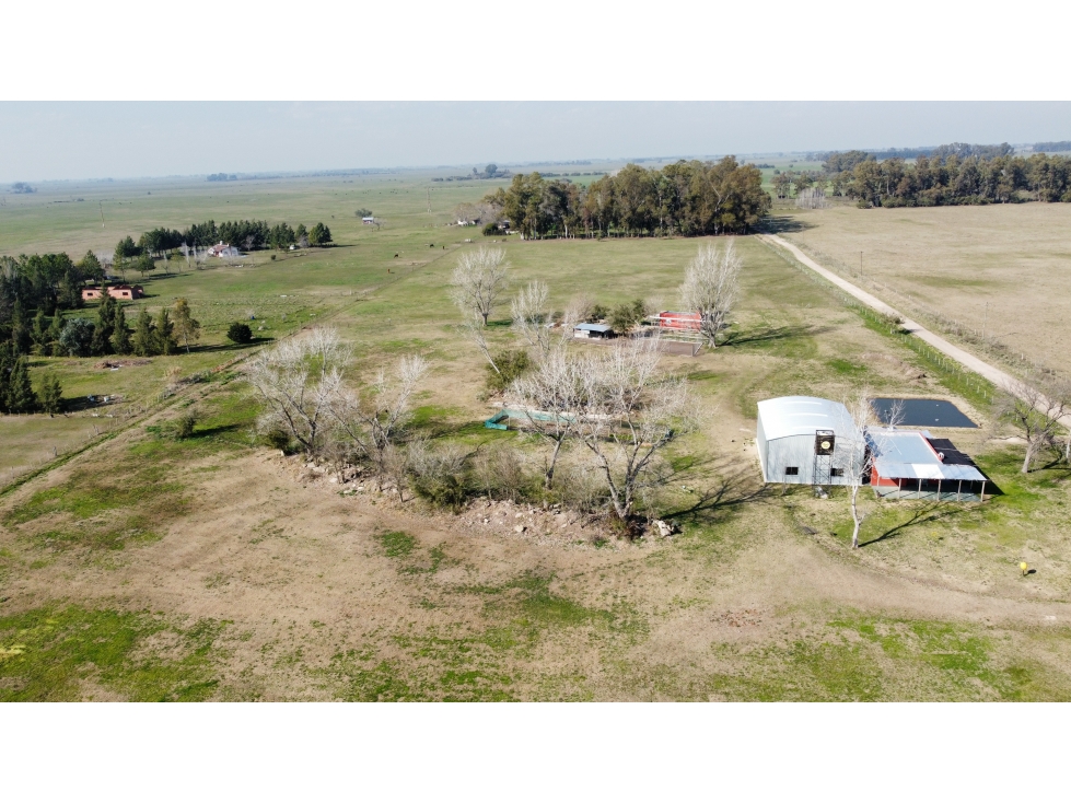 Campo en venta en Brandsen. 5 Has sobre ruta 215 - 3