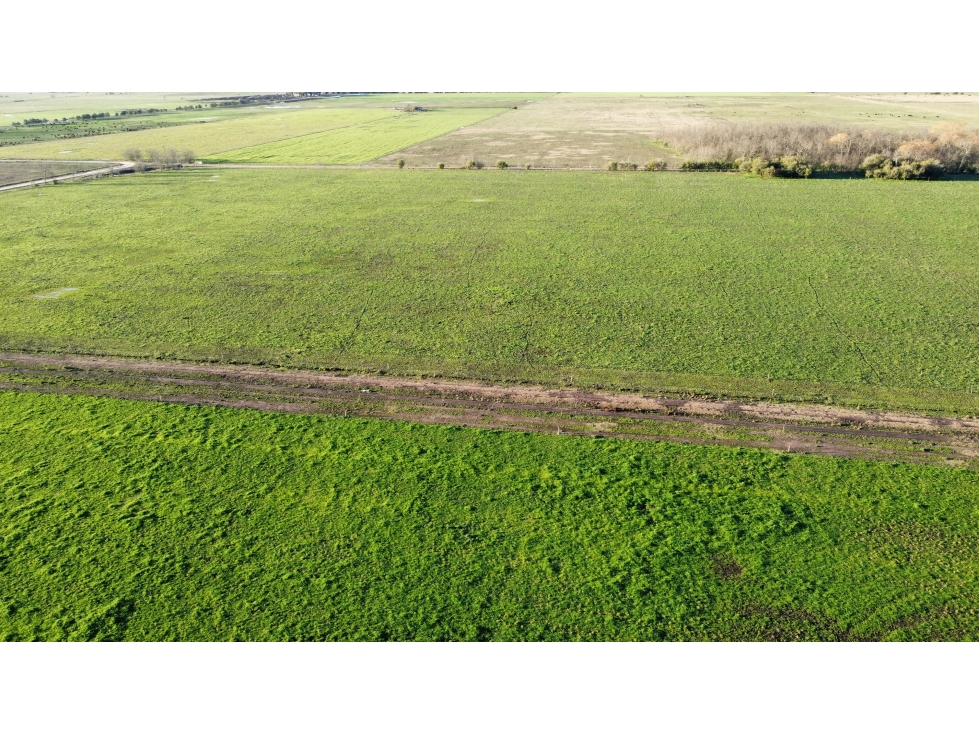 Campo en venta en Ranchos. 90 Has. mixto - 4