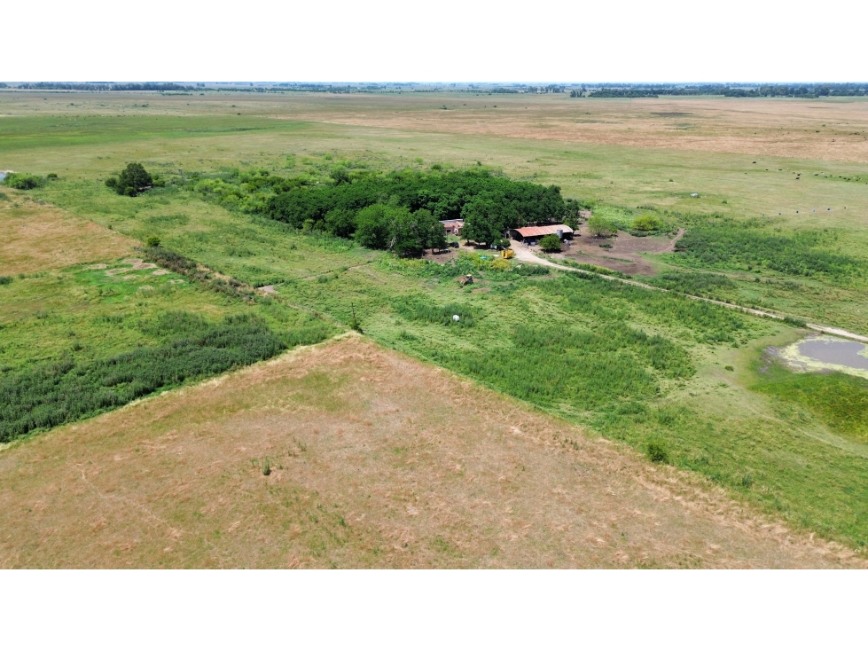 Campo en venta en Ranchos. 90 Has. mixto - 2