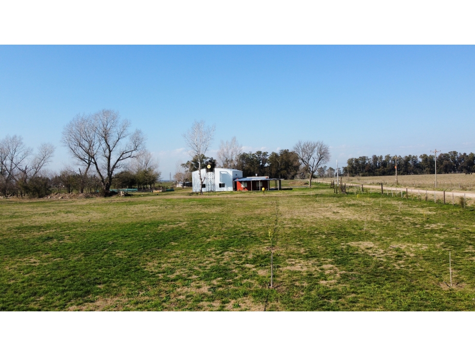 Campo en venta en Brandsen. 5 Has sobre ruta 215 - 5