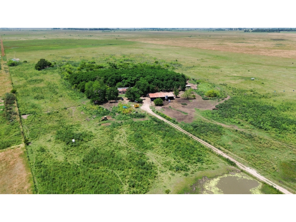 Campo en venta en Ranchos. 90 Has. mixto - 3
