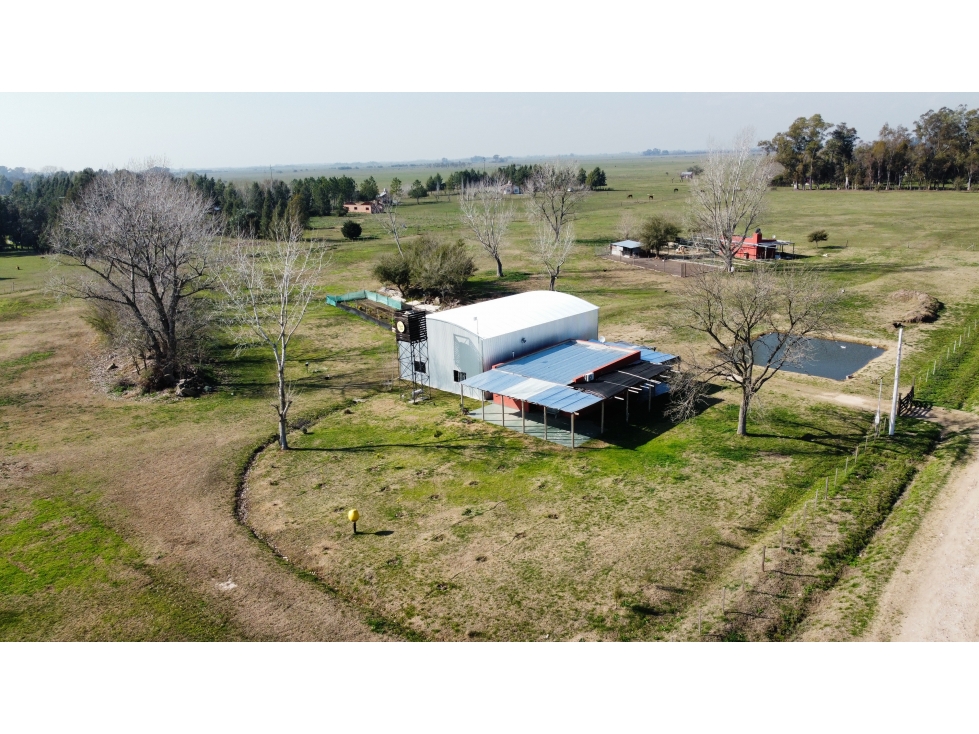 Campo en venta en Brandsen. 5 Has sobre ruta 215 - 4
