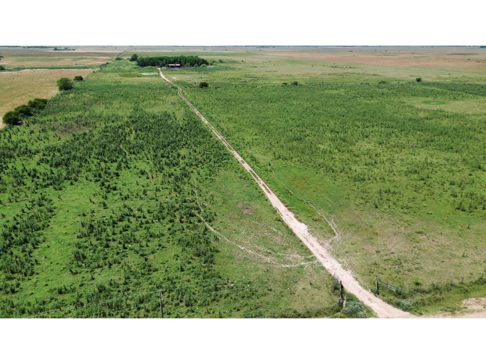 Campo en venta en Ranchos. 90 Has. mixto - 6
