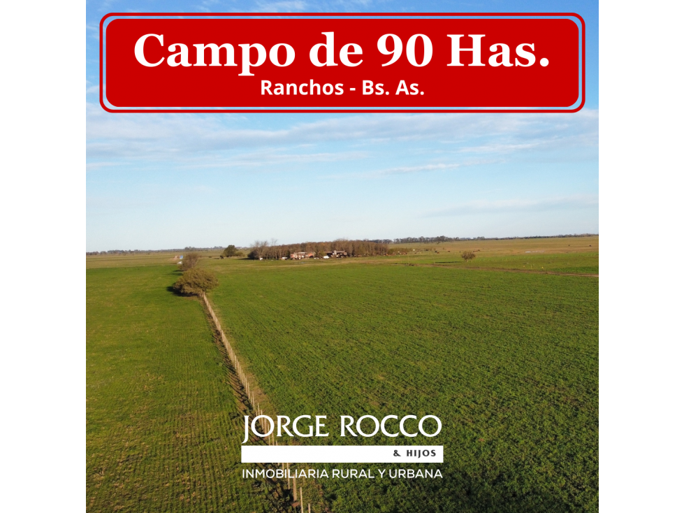 Campo en venta en Ranchos. 90 Has. mixto - 1