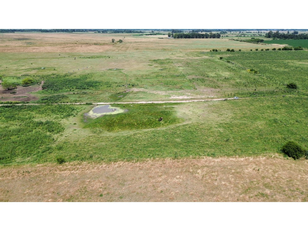 Campo en venta en Ranchos. 90 Has. mixto - 5