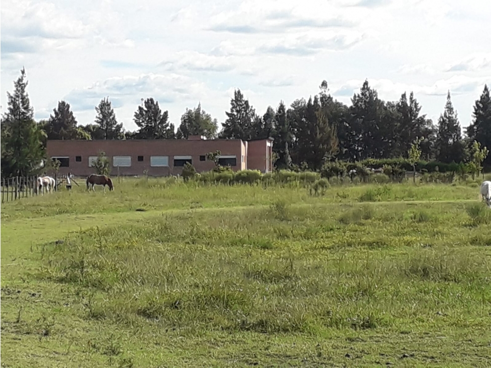 Chacra en Barrio de Chacras Estancia Malvinas en Brandsen - 5