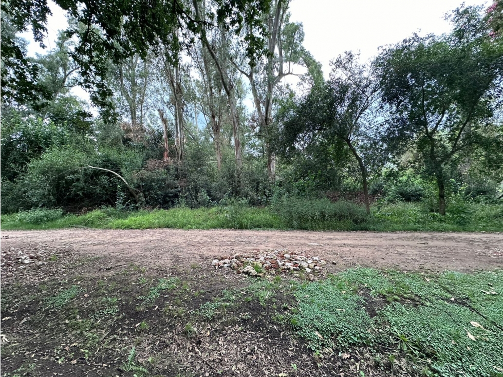 Lote en venta en Barrio Bosquecitos en Brandsen - 5