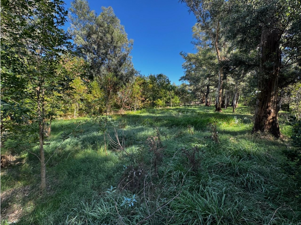 Lote en venta en Barrio "Los Bosquecitos" en Brandsen - 5