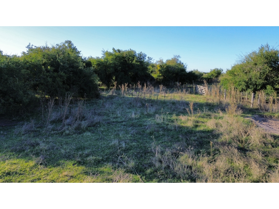 Campo de 170 Has en Ranchos, Bs. As. - 6