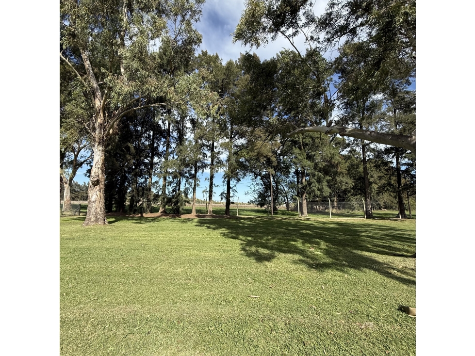 Lote en Altos de Brandsen - OPORTUNIDAD! - 5