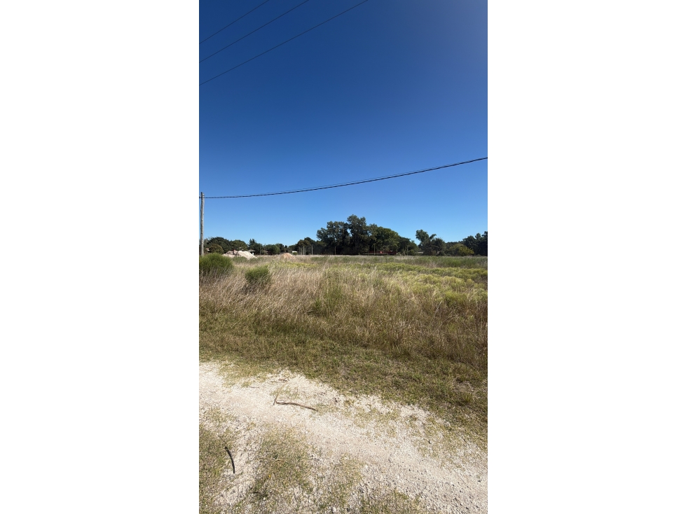 Lote sobre calle Sargiotti en Brandsen - 4