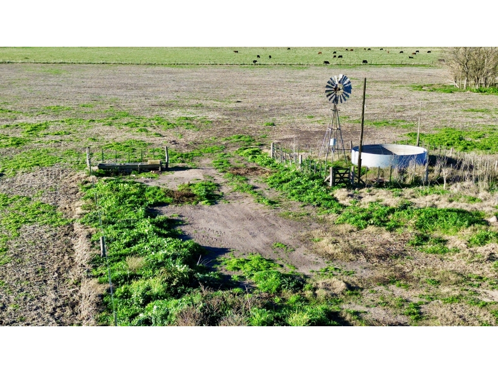 Campo agrícola de 77 Has. en Villanueva, Gral. Belgrano - Gral. Paz - 2