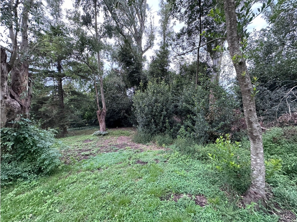 Lote en venta en Barrio Bosquecitos en Brandsen - 6