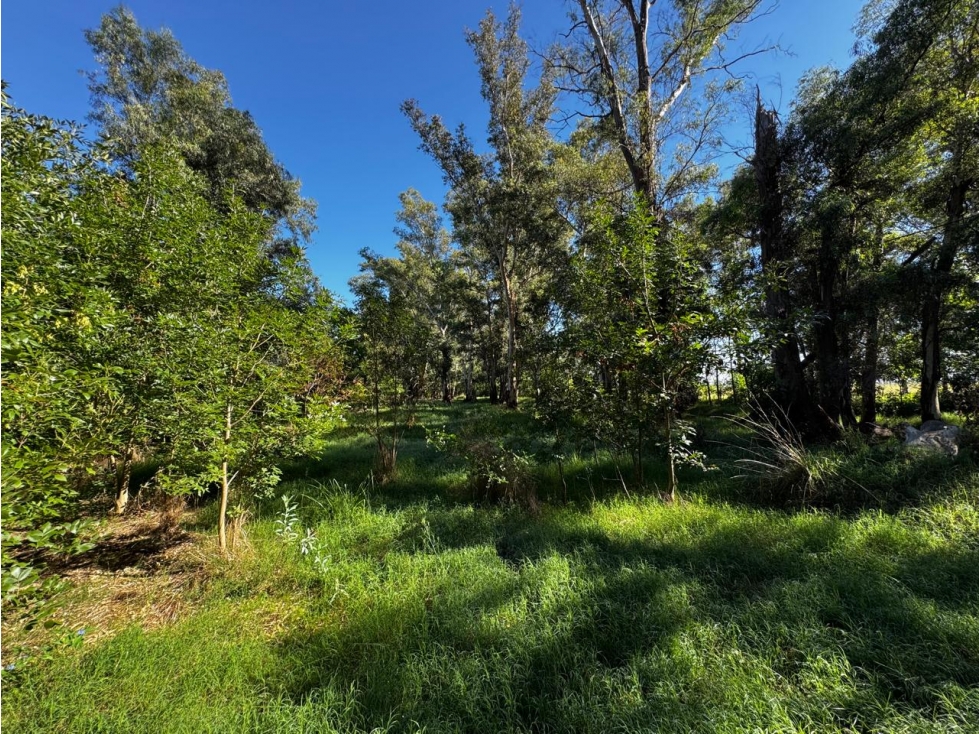 Lote en venta en Barrio "Los Bosquecitos" en Brandsen - 6