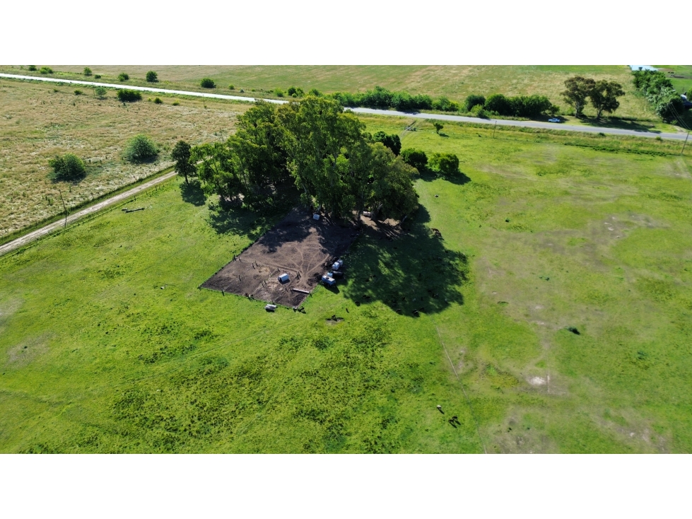 Campo de 5 Has sobre ruta en Ranchos - 4