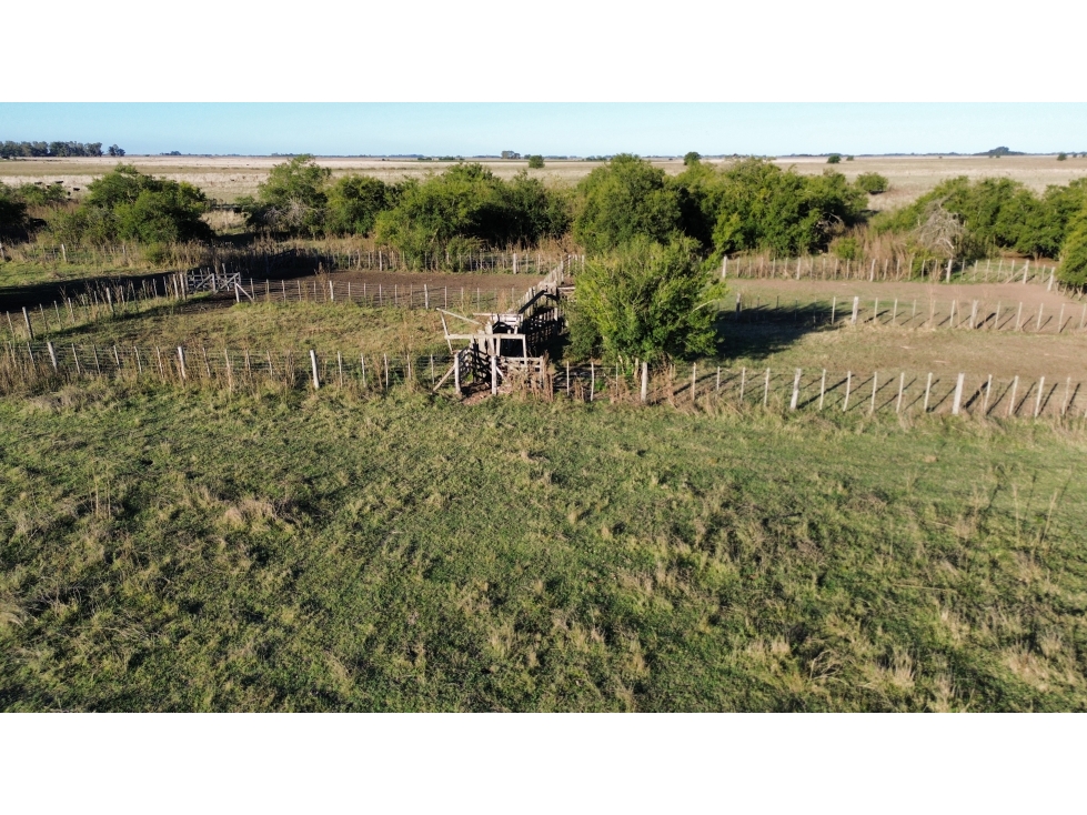 Campo de 170 Has en Ranchos, Bs. As. - 5