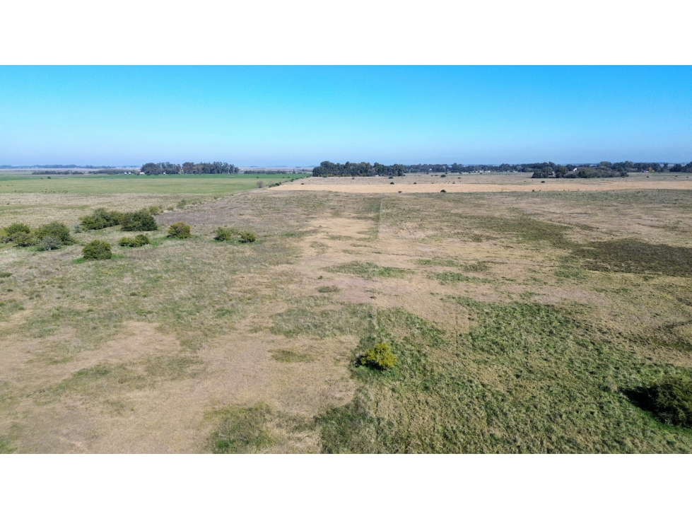 Campo de 31 Has en Brandsen, próximo a Ruta 2 - 3