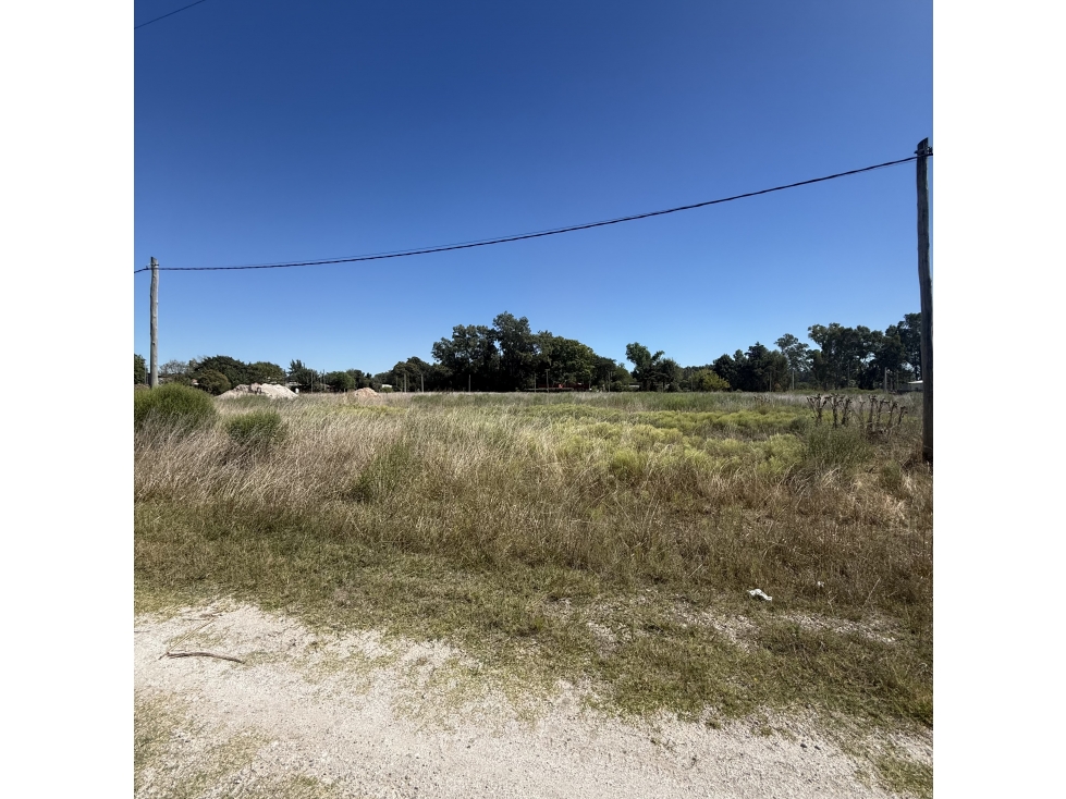 Lote sobre calle Sargiotti en Brandsen - 5