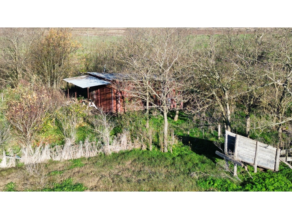 Campo agrícola de 77 Has. en Villanueva, Gral. Belgrano - Gral. Paz - 3
