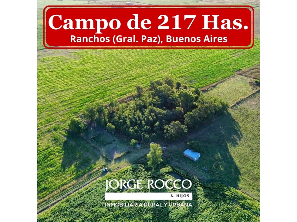 Campo mixto de 217 Has. en Ranchos - Buenos Aires - 1