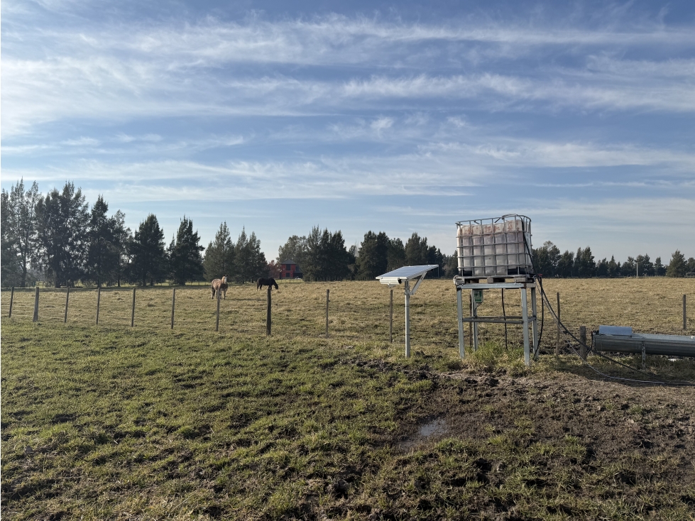 Lote Chacra en venta en Barrio Las Malvinas 1 en Brandsen - 4