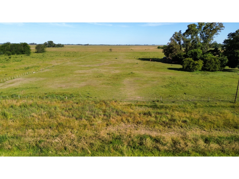 Campo de 5 Has sobre ruta en Ranchos - 6