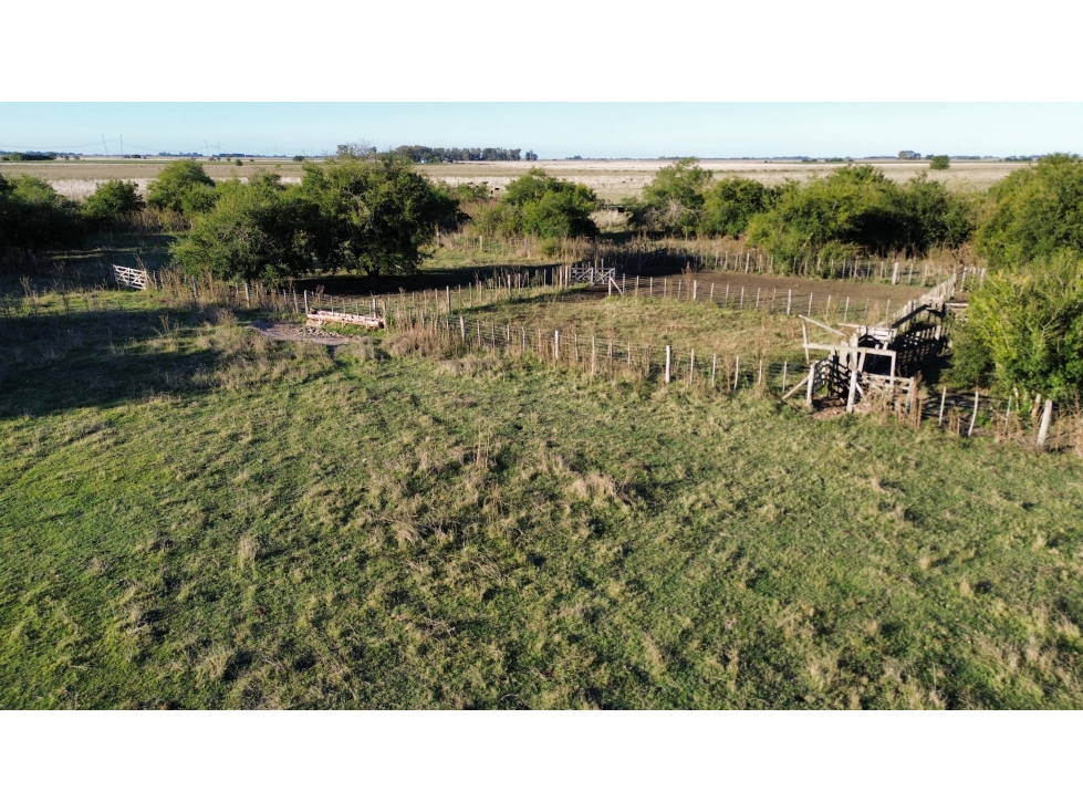Campo de 170 Has en Ranchos, Bs. As. - 4