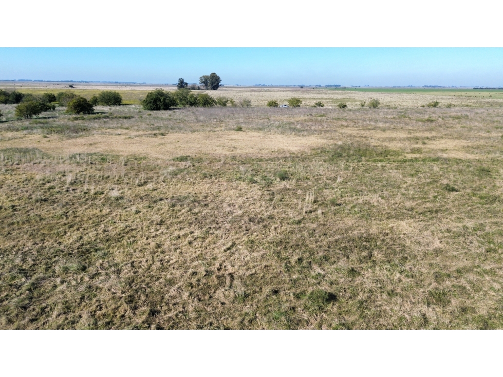 Campo de 31 Has en Brandsen, próximo a Ruta 2 - 4