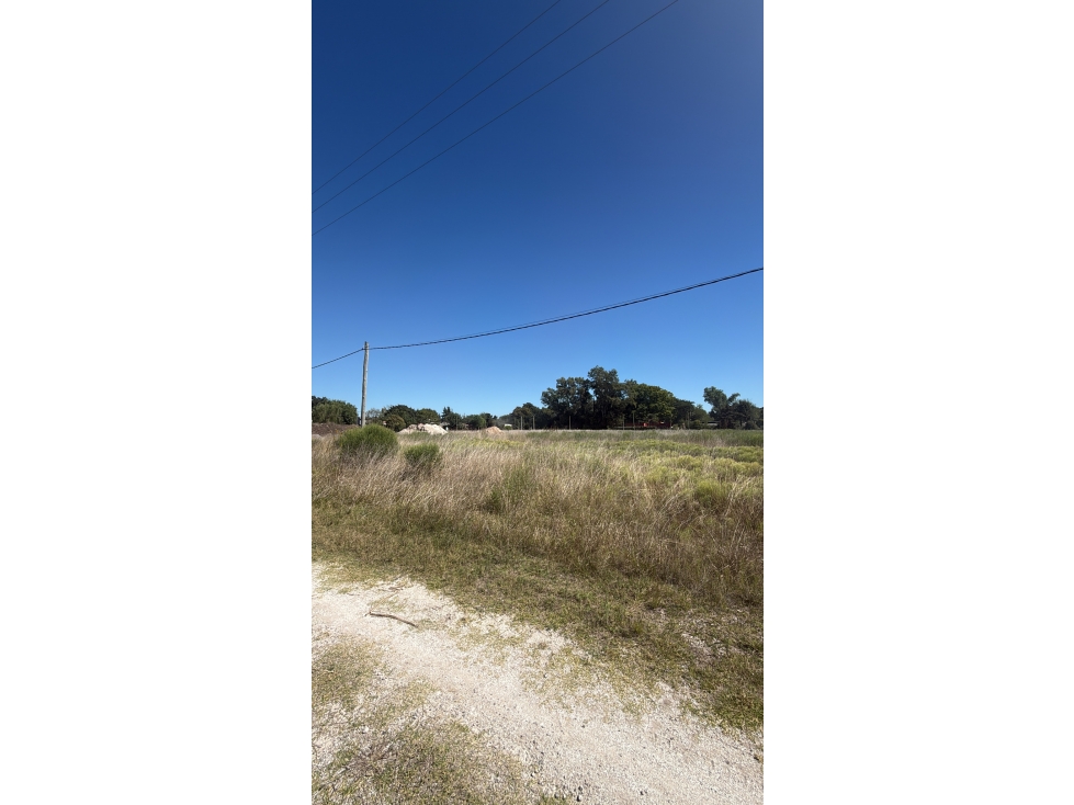 Lote sobre calle Sargiotti en Brandsen - 6
