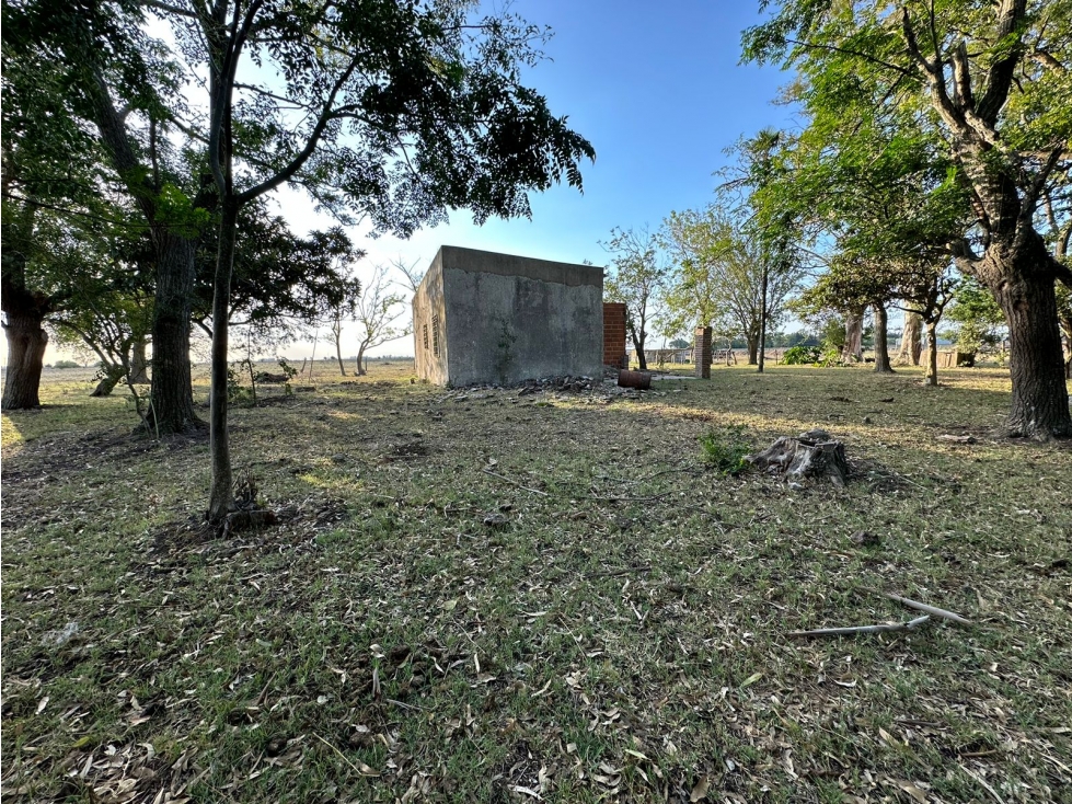 Campo en venta en Gomez, Brandsen. 17 Has ganadero - 6