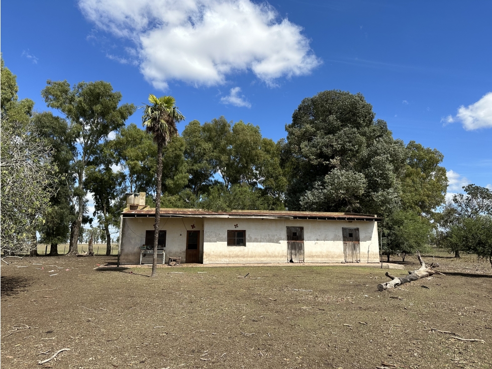 Campo de 450 Has en Magdalena (Bs. As.) - 3