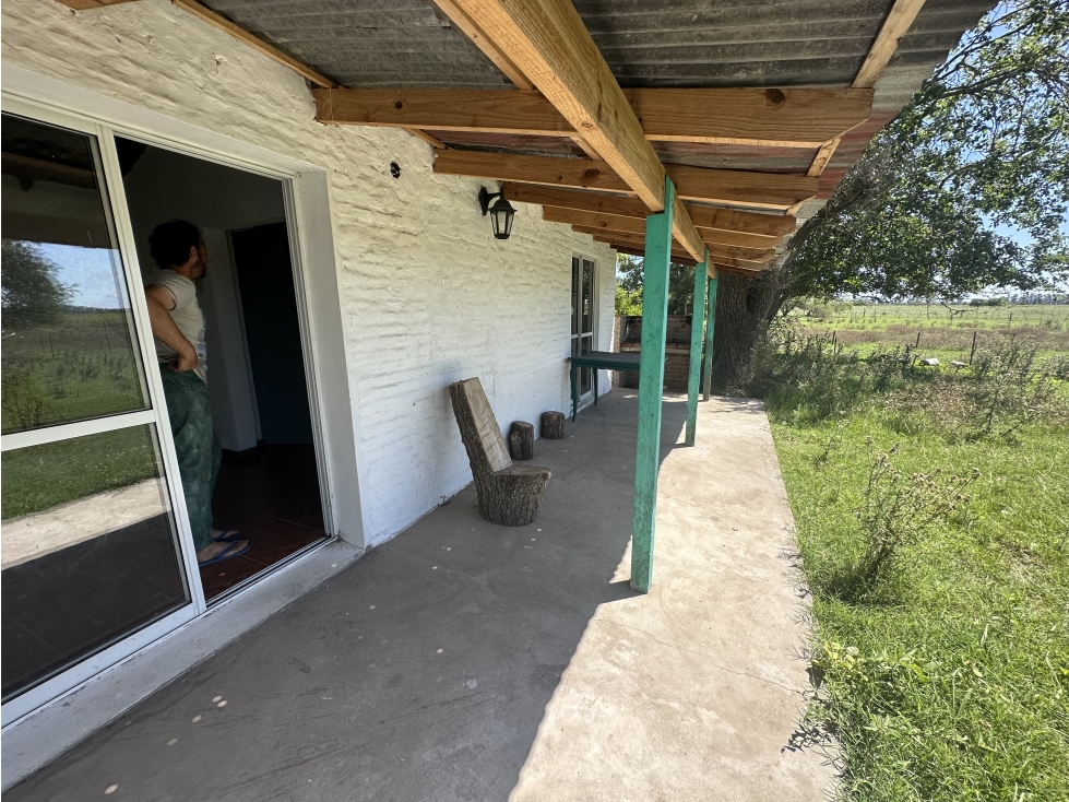 Campo en venta en Brandsen. 150 Has mixto - 5