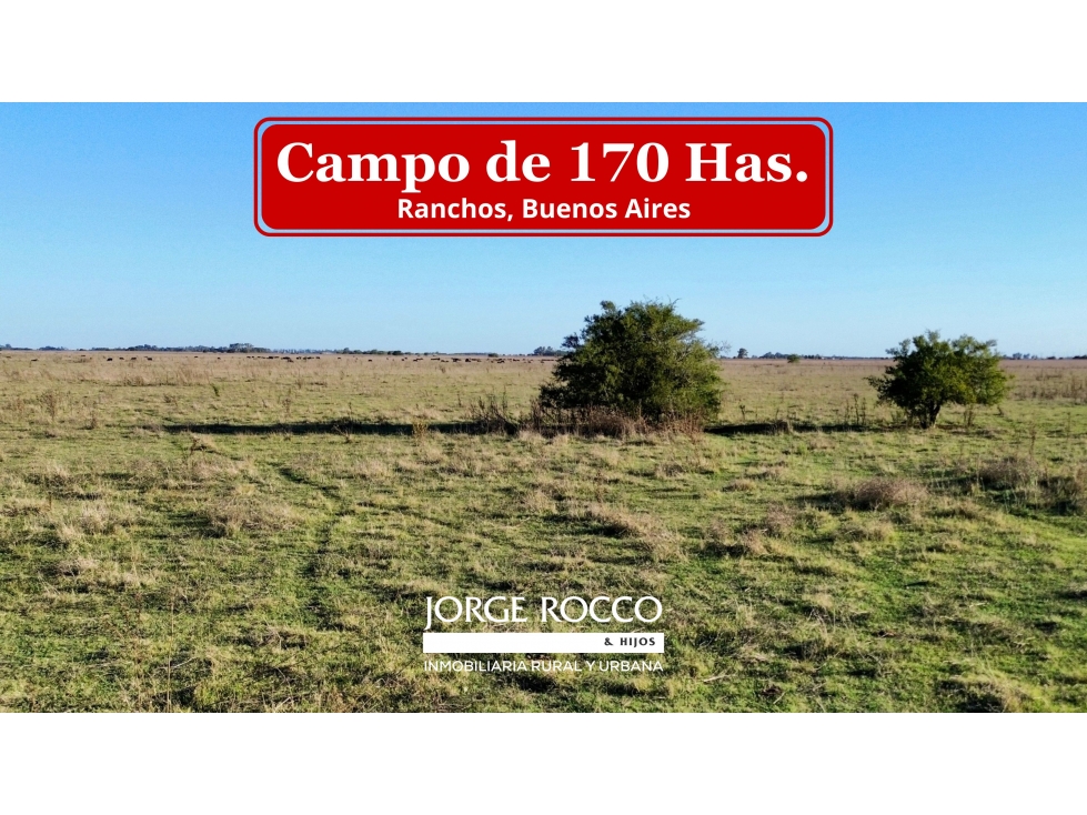 Campo de 170 Has en Ranchos, Bs. As. - 1