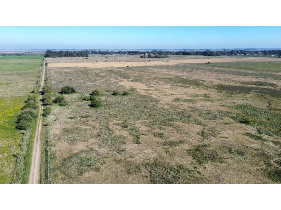 Campo de 31 Has en Brandsen, próximo a Ruta 2 - 5