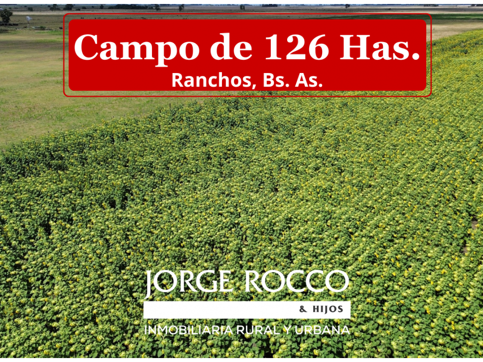 Campo mixto de 126 Has. en Ranchos, Bs. As. - 1