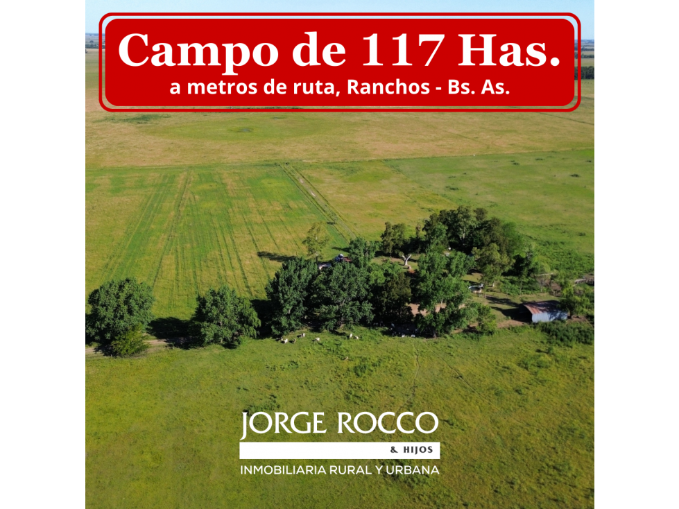 Campo en venta en Ranchos. 117 Has mixtas sobre ruta 29 - 1