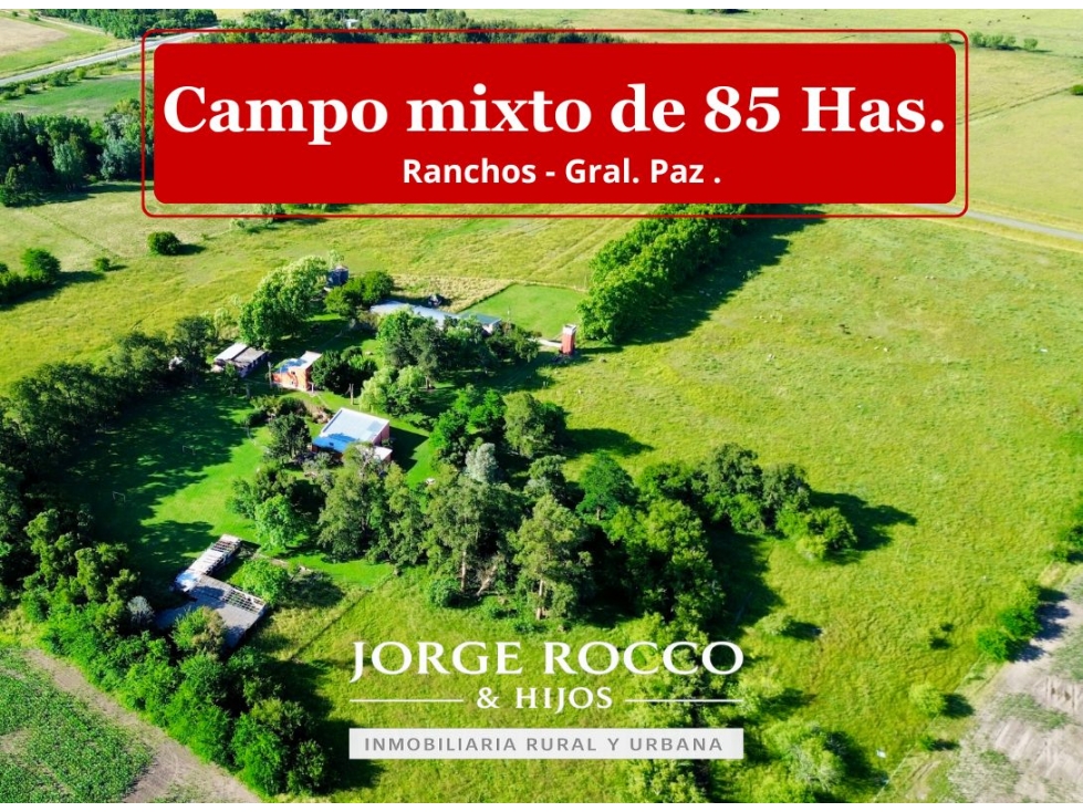 Campo de 85 Has. mixto, con Casco Antiguo en Ranchos. - 1