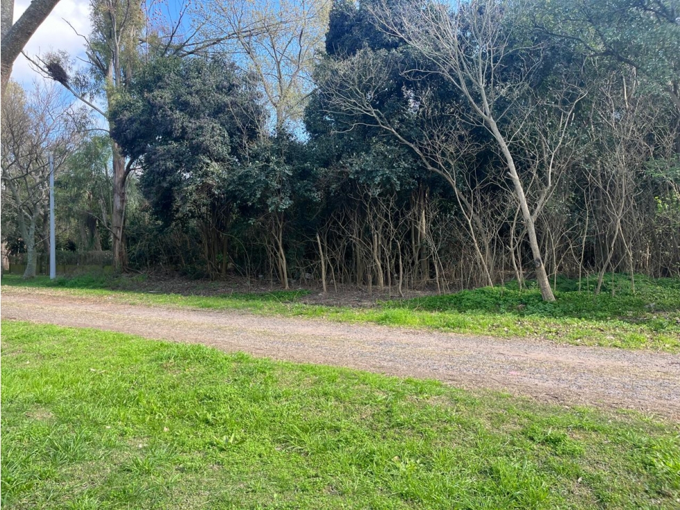 OLIVEROS- LOTE-AVENIDA LA RIBERA N° 5244/1600 MTS - 3