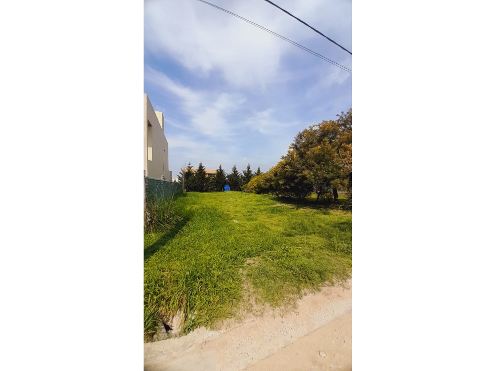 #TERRENO en Bº abierto San Agustin - OPORTUNIDAD? - Tres Arroyos - 6