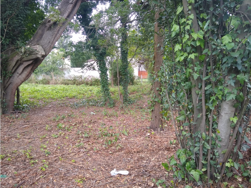LATORRE PROP. VENDE LOTE BALDIO EN BARRIO LAS DALIAS - 1