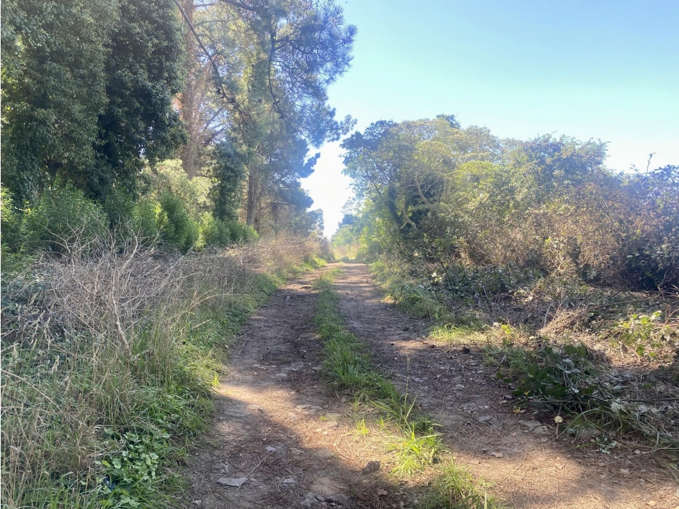 LATORRE PROP. VENDE 3 HECTAREAS EN SIERRA DE LOS PADRES — foto 5