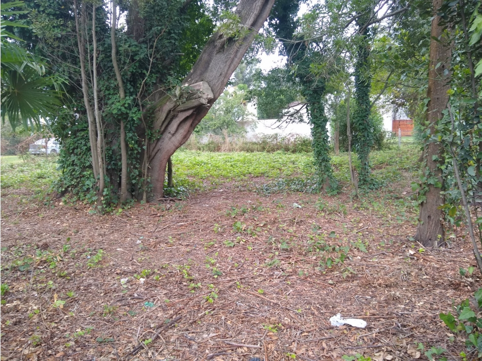 LATORRE PROP. VENDE LOTE BALDIO EN BARRIO LAS DALIAS - 2