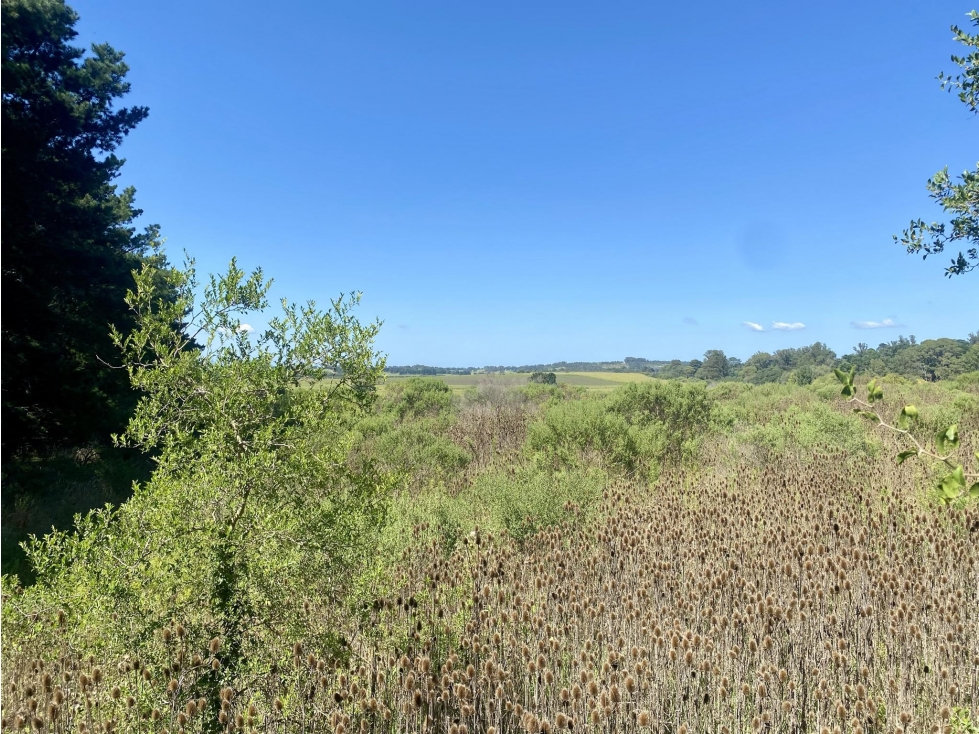 LATORRE PROP. VENDE 3 HECTAREAS EN SIERRA DE LOS PADRES — foto 3