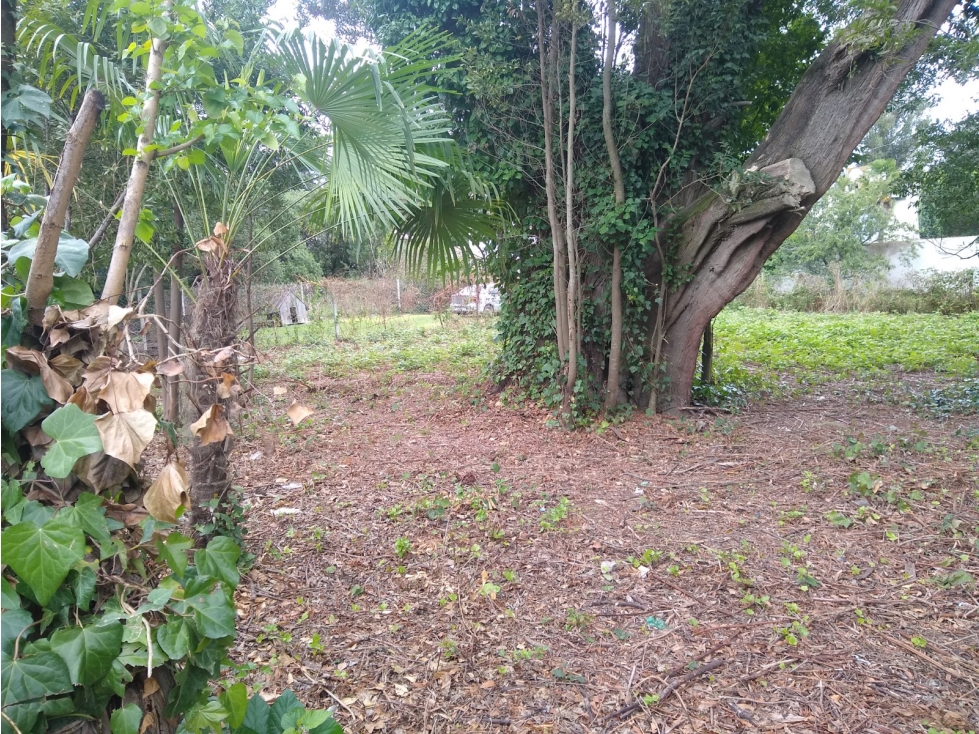 LATORRE PROP. VENDE LOTE BALDIO EN BARRIO LAS DALIAS - 3