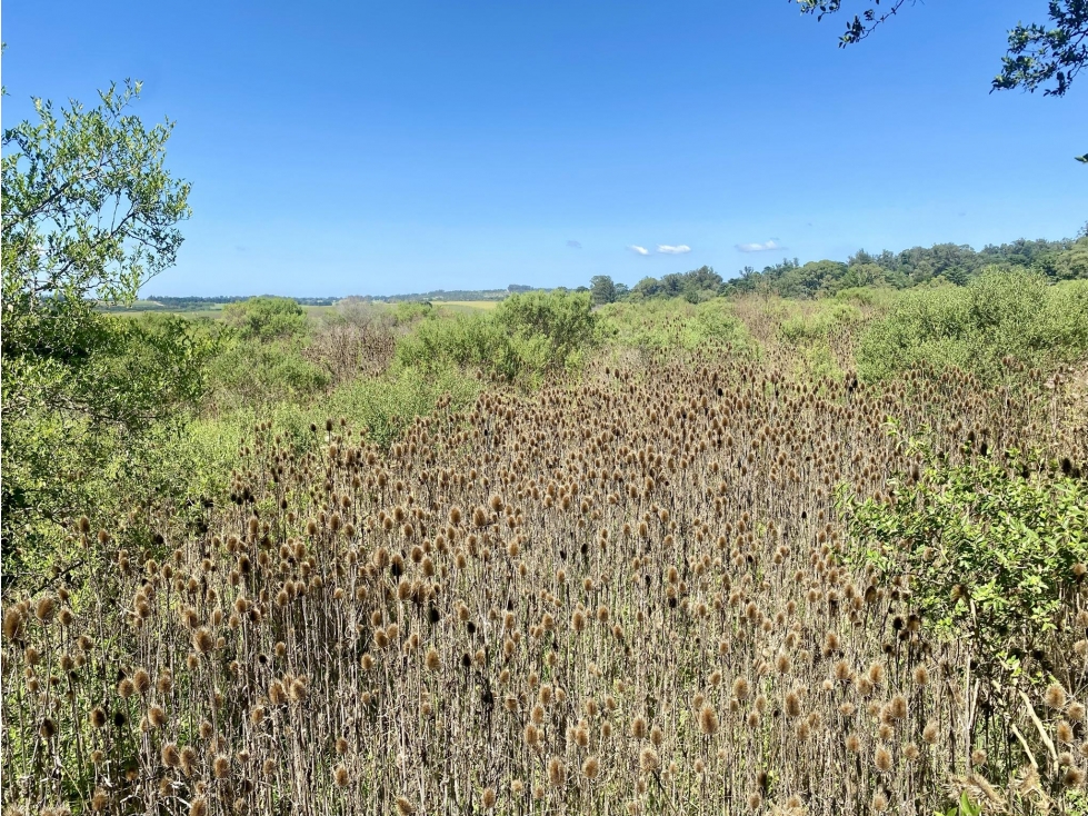 LATORRE PROP. VENDE 3 HECTAREAS EN SIERRA DE LOS PADRES — foto 6