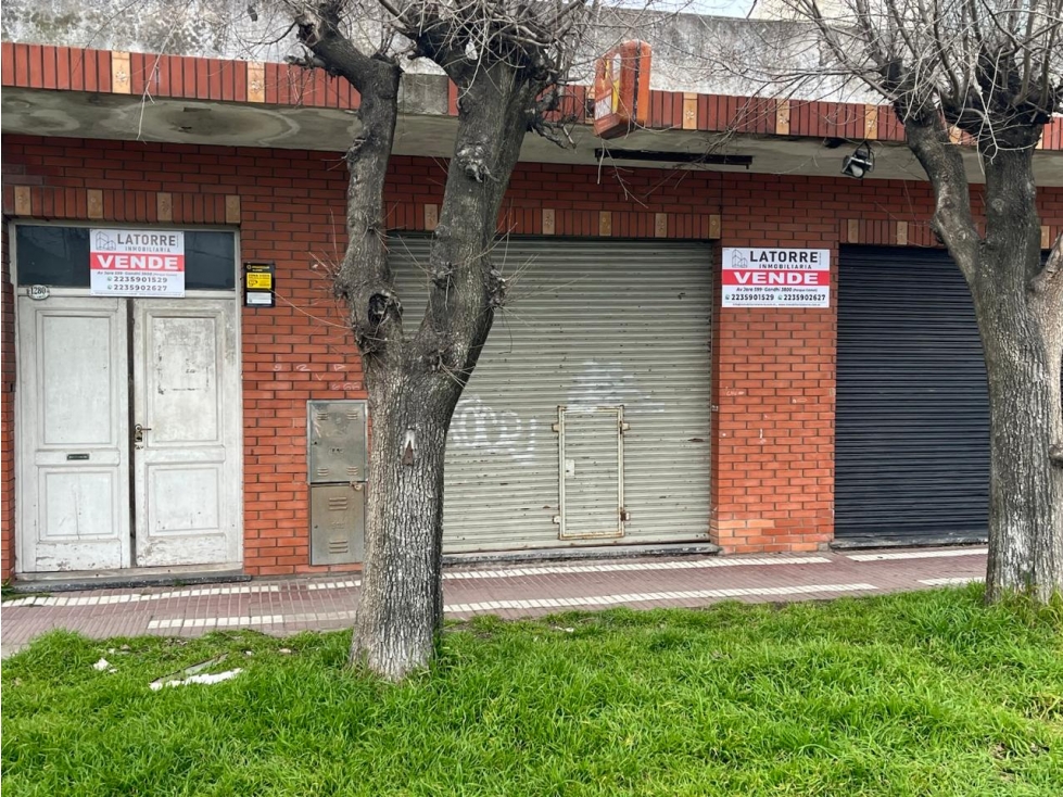 LATORRE PROP. VENDE CASA CON LOCALES - S/ ARTURO ALIO.