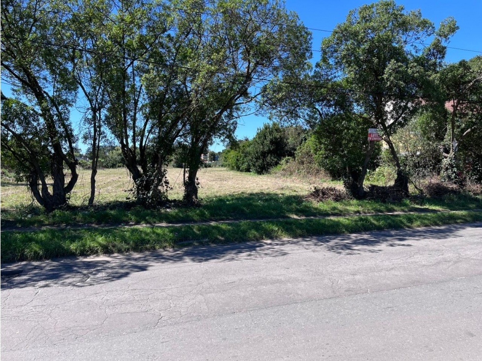 LATORRE PROP VENDE LOTE DE 850 M2 M2 A 300 METROS DEL MAR — foto 2