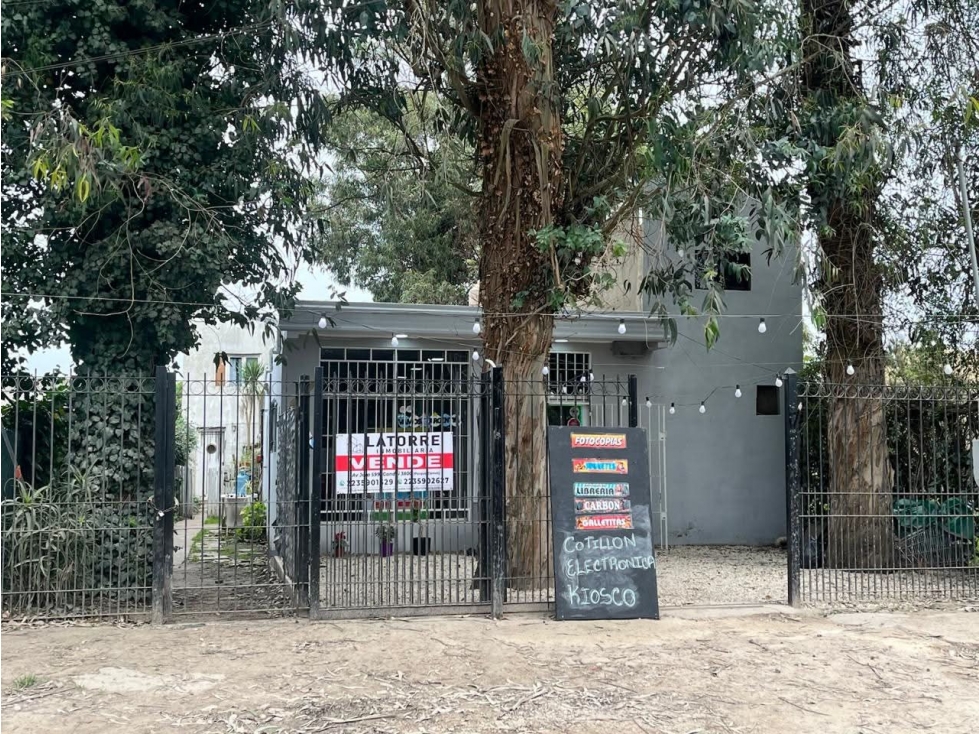 LATORRE PROP. VENDE LOCAL COMERCIAL + VIVIENDAS - 2