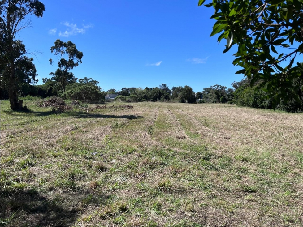 LATORRE PROP VENDE LOTE DE 850 M2 M2 A 300 METROS DEL MAR — foto 3